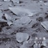 無水團/午夜在斯堪地那維亞的舞會