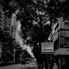 Q.14th 隔離十四天 new demo