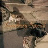 Something Special 情人節特調