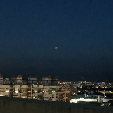 Q.14th 隔離14天