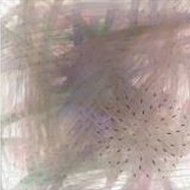 20130402 拉拉 (Demo)