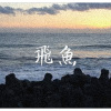 飛魚｜demo