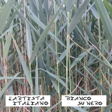 La Principessa e il Pirata