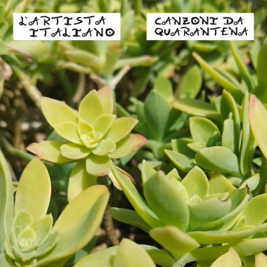 Reti Sociali