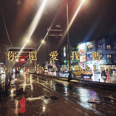 你還愛我嗎cover