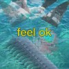 1Z1Q02 feel ok
