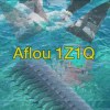 1Z1Q04 天冷了 我却有颗想去海边的心