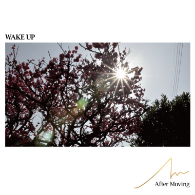 WAK UP DEMO