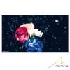WINTER FLOWER 0208UPDATE DEMO