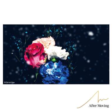 WINTER FLOWER 0208UPDATE DEMO