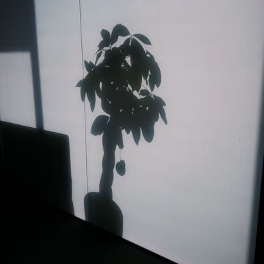 月影