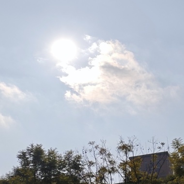 望着天很空但有太阳