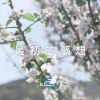 最初的夢想 | Young Hu feat.艾可AiKO