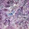 violet dream