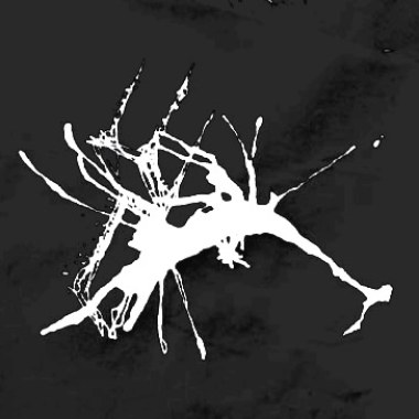 舜仔（The Thin Light Of The Darkest Dark）