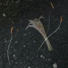 碎片