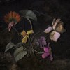 夜晚的菸