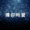 擇你所愛 Demo