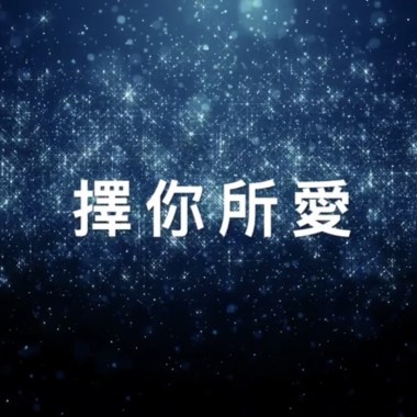 擇你所愛 Demo