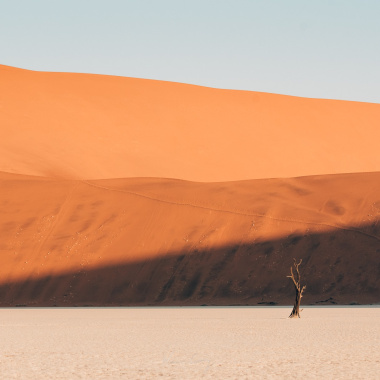 羅布泊 - 2026 demo