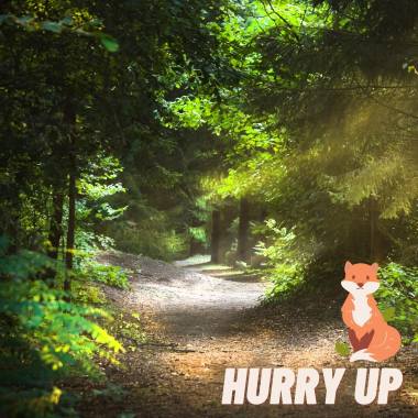 Hurry Up 快點