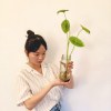 日子和樣子