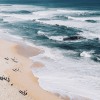 浪（2018）