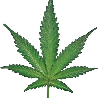 Dear Alcohol (Rimix)