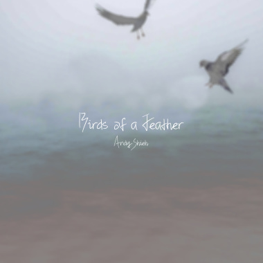 Birds of a Feather