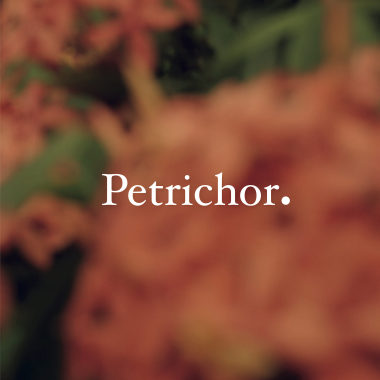 Petrichor