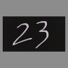 23