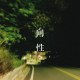 向性（demo）