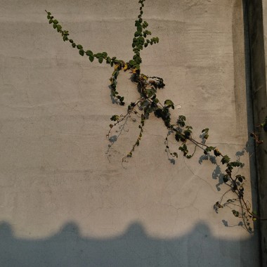 木偶_40秒demo