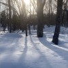 20240210 Walk in Myoko