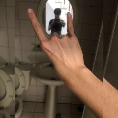 我的嘗試·序