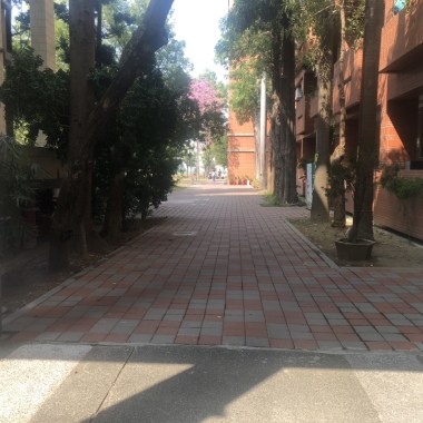 喜雨記趣．貳