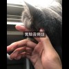 實驗音樂 10-1