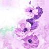 紫苑【歌ってみた】