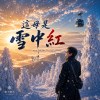 《這毋是雪中紅 ver.2026》｜台語｜Not Snow in Sorrow