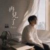 《再見了》|如果人生只剩最後一天,我猶原愛妳|台語情歌