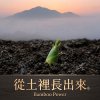 一首寫給台灣竹炭與土地的歌《從家鄉土裡長出來》  Grown from Taiwan Soil. A Song of Bamboo Charcoal and the Power of the Land