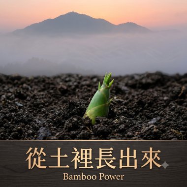 一首寫給台灣竹炭與土地的歌《從家鄉土裡長出來》  Grown from Taiwan Soil. A Song of Bamboo Charcoal and the Power of the Land