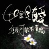 如果是真愛怎麼可能不幸福