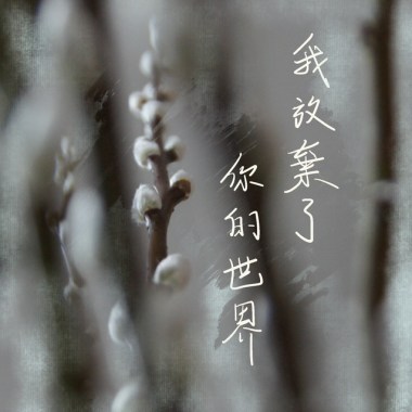 我放棄了你的世界