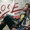 血玫瑰 Rose
