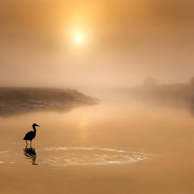 河