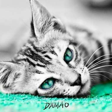 Amour