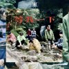 等我一下