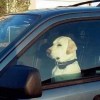 WAITING TIME (demo)