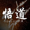 少浪-悟道